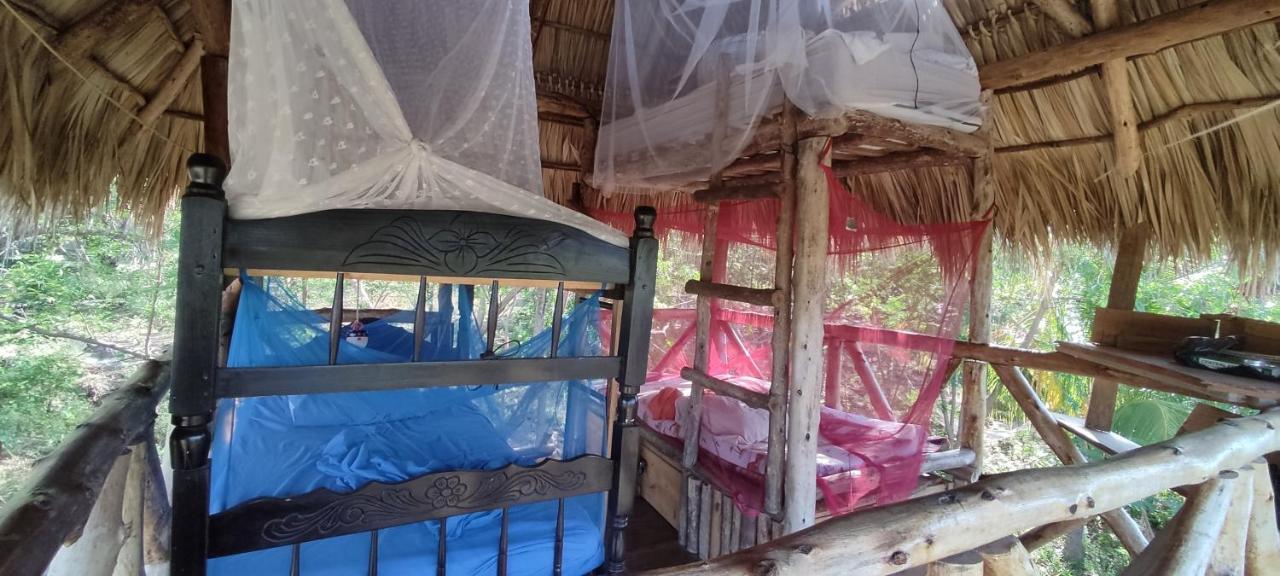 Transito Palapa Hostel מראה חיצוני תמונה
