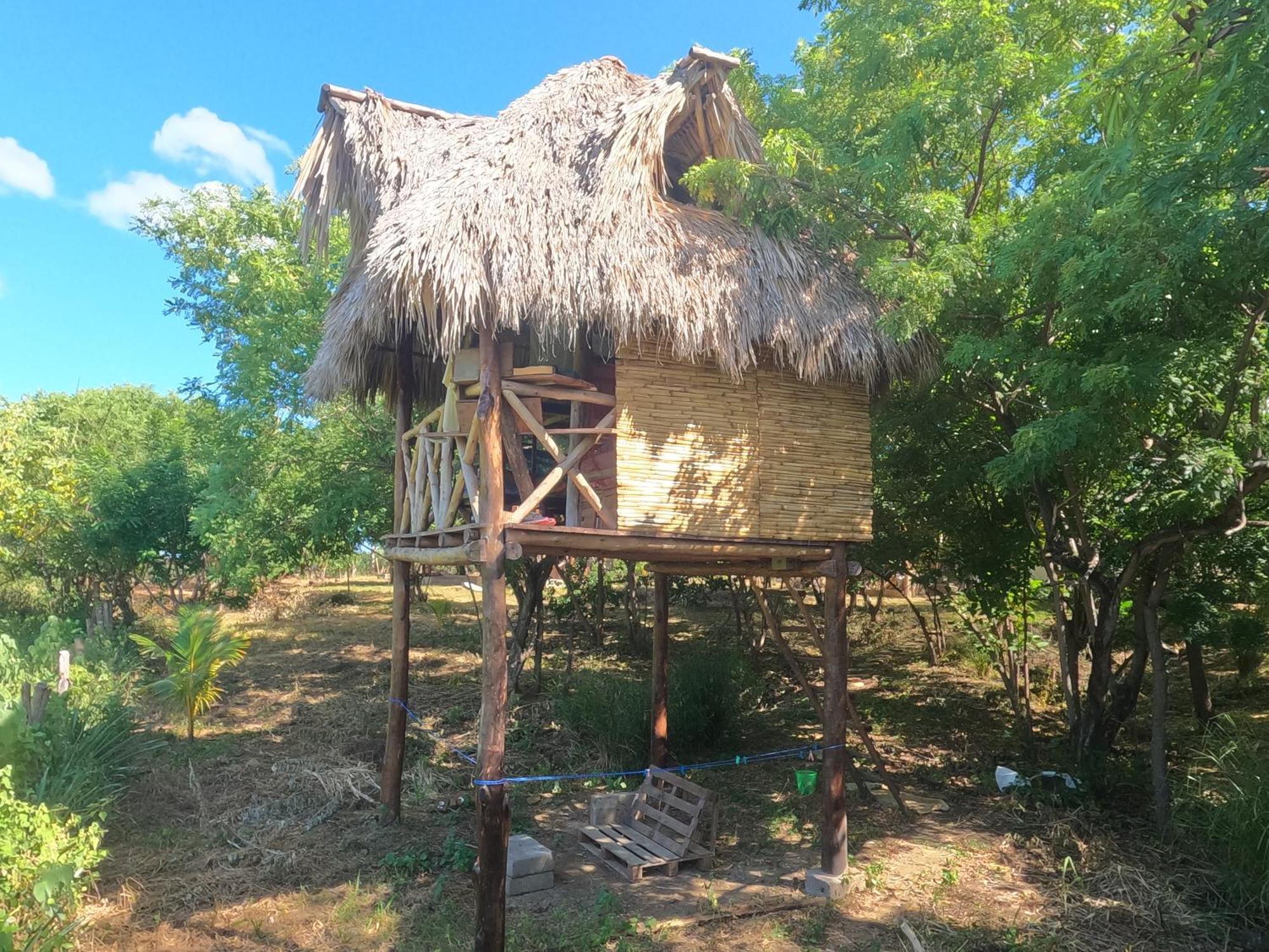 Transito Palapa Hostel מראה חיצוני תמונה