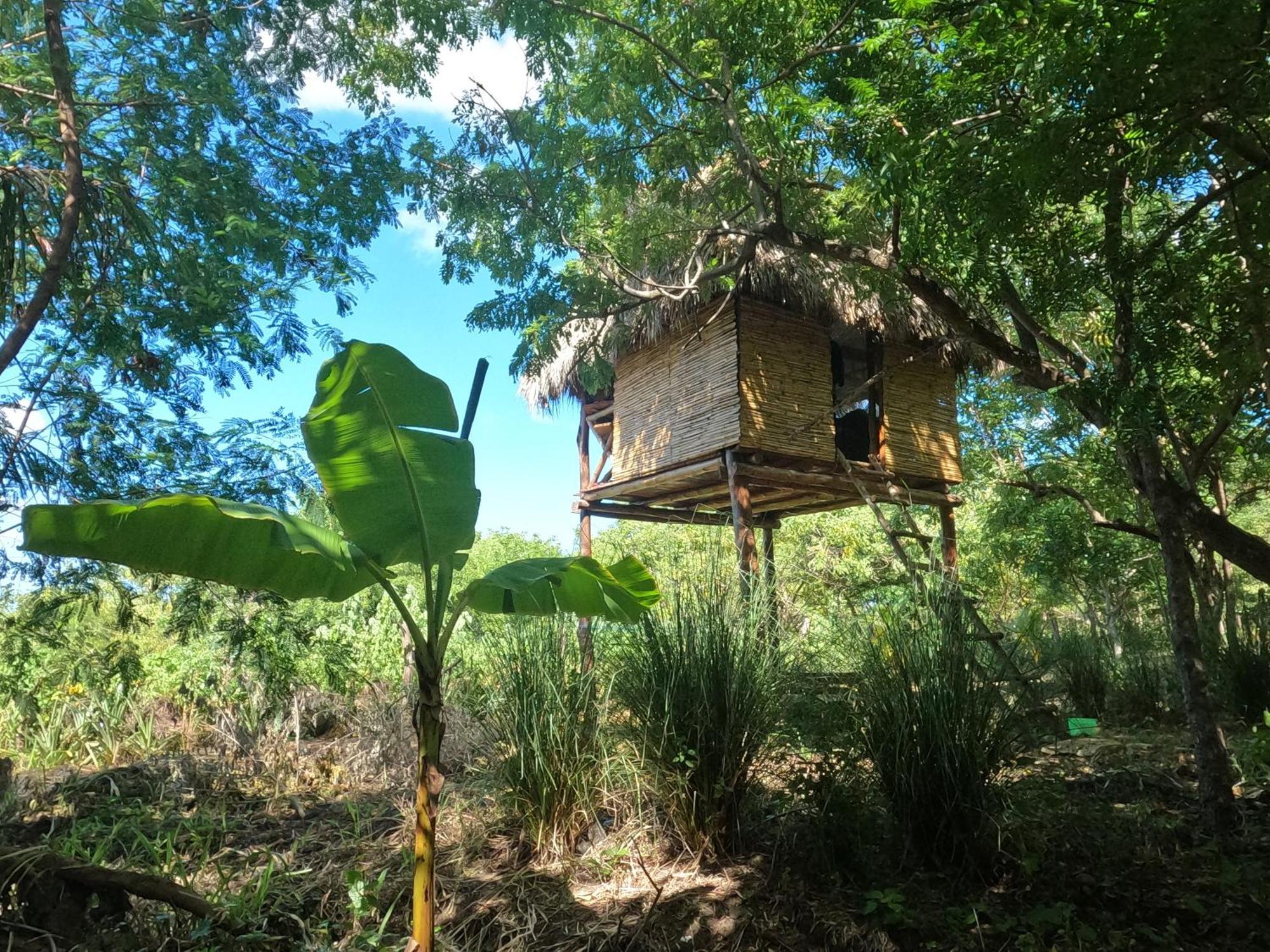 Transito Palapa Hostel מראה חיצוני תמונה