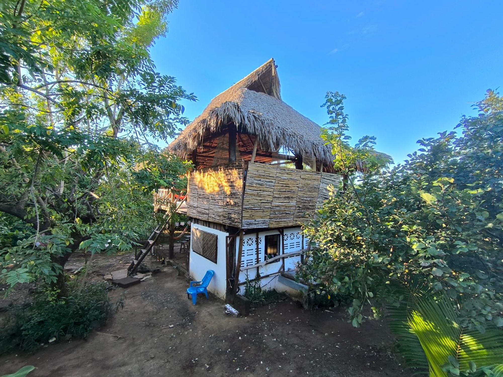 Transito Palapa Hostel מראה חיצוני תמונה