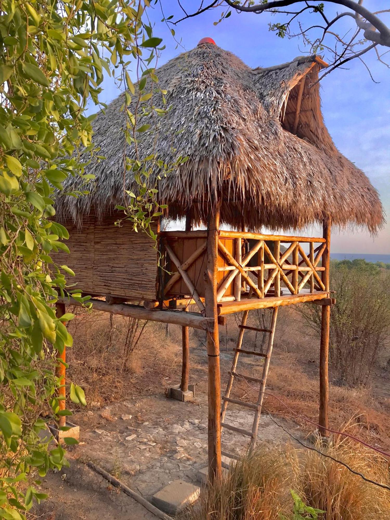 Transito Palapa Hostel מראה חיצוני תמונה