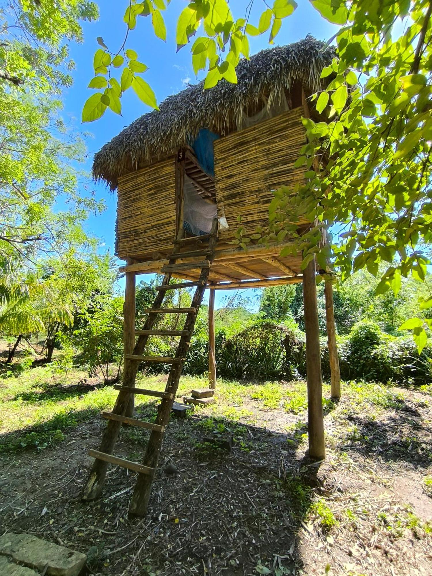 Transito Palapa Hostel מראה חיצוני תמונה